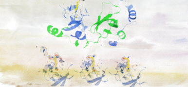 Methyl-lysine Reader(s)2